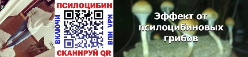 Галлюциногенные грибы MAGIC MUSHROOMS  Киров 